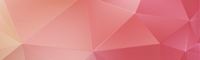 Career Mentoring Sessions